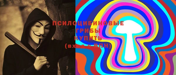 скорость Ладушкин